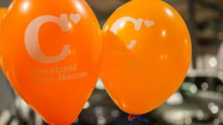 Chestnut Tree House balloons